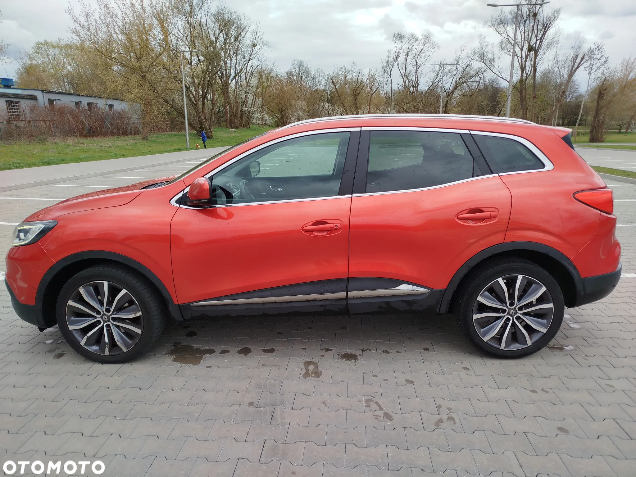 Renault Kadjar 1.6 dCi Energy Business - 12