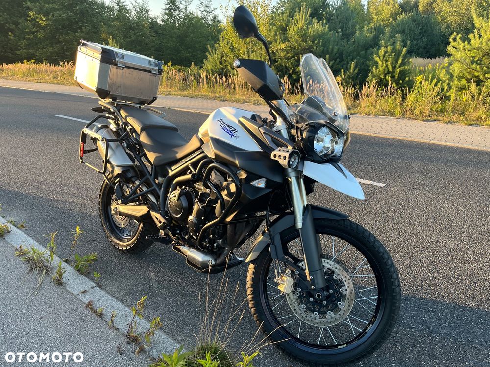 Triumph Tiger - 1