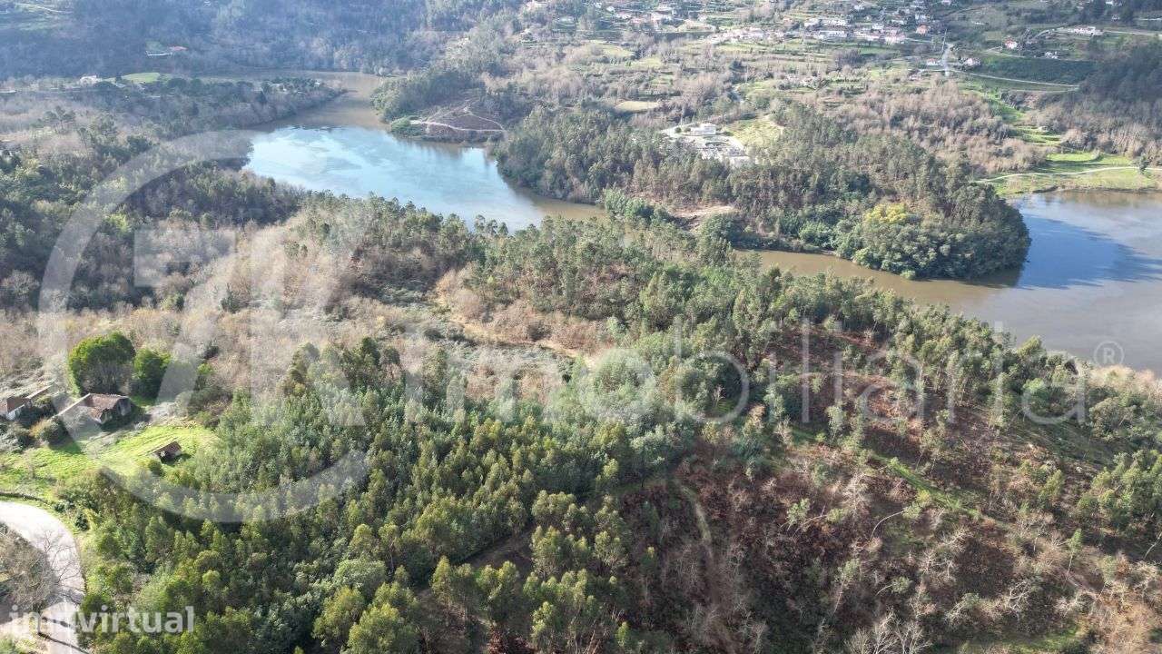 Quinta da Ribeirinha - Várzea, Aliviada e Folhada, - Grande imagem: 2/7