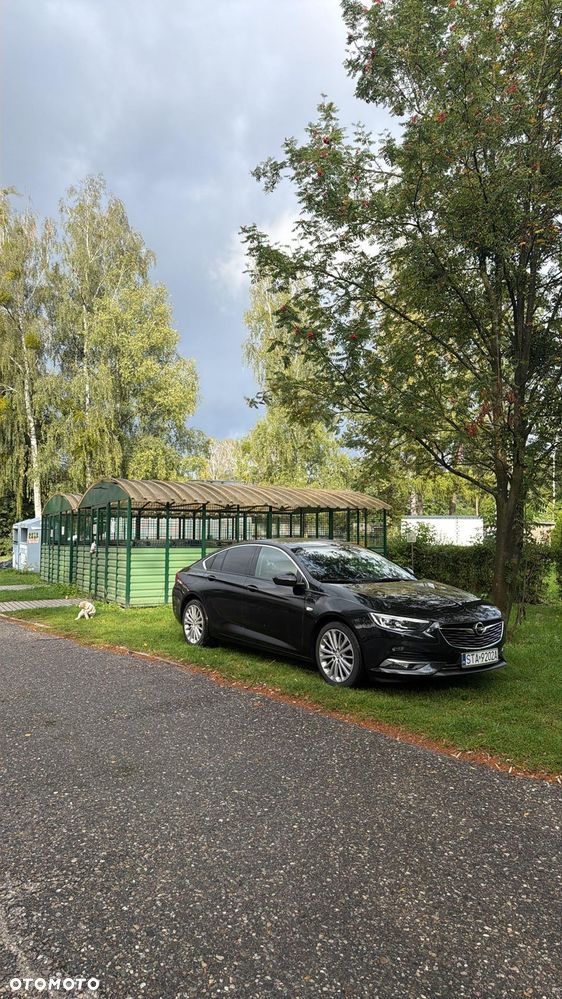 Opel Insignia 2018 photo 3