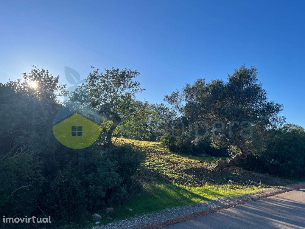 TERRENO RÚSTICO 6.000m2 ZONA CAMPESTRE - Grande imagem: 5/17