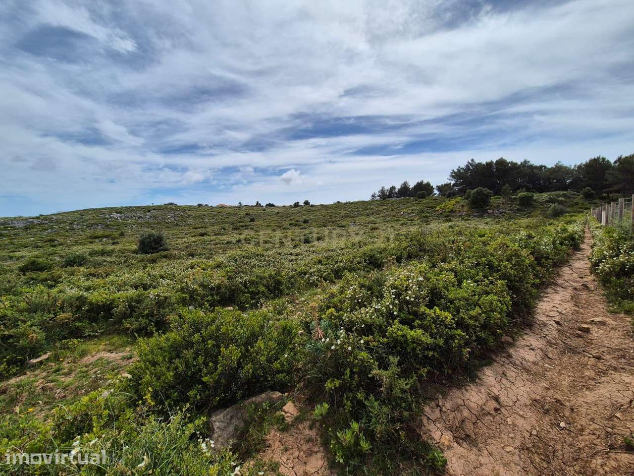 Terreno Rústico com 20.000 m² em Murches, Cascais – Vista Serra de Sin - Grande imagem: 3/22