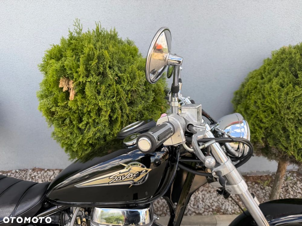 Suzuki Savage - 22
