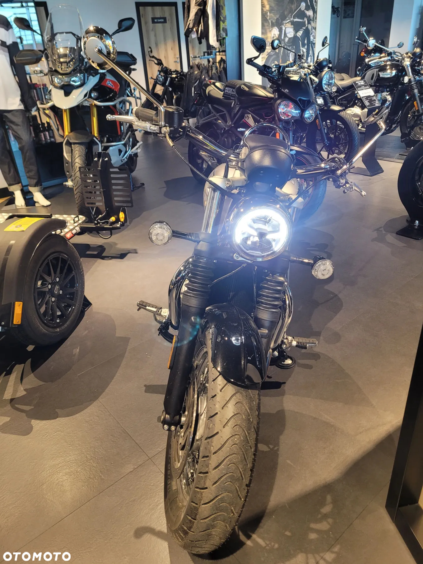 Triumph Speedmaster - 4
