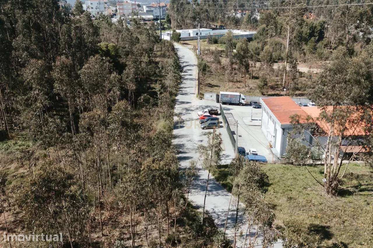 Terreno Urbanizado 6.630m2 - Lobão - Grande imagem: 4/5