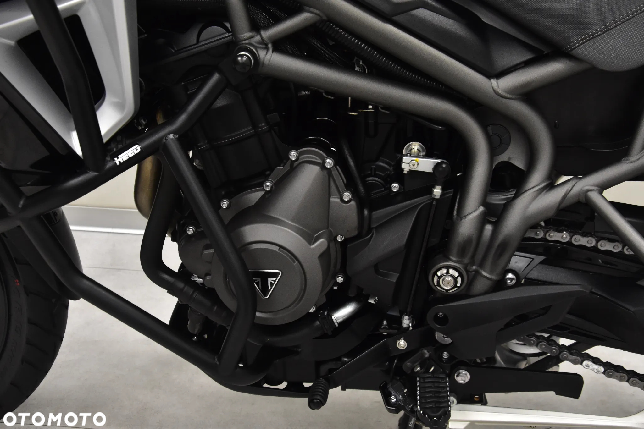 Triumph Tiger - 36