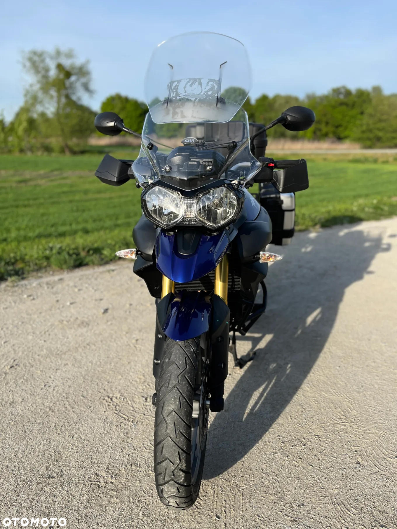 Triumph Tiger