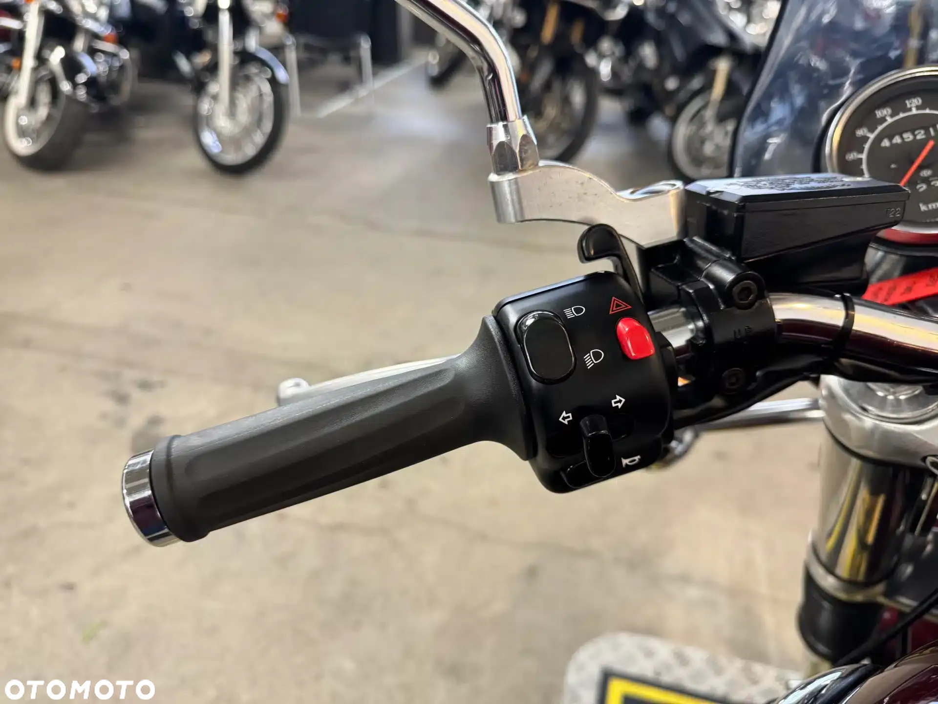 Triumph Thunderbird - 30