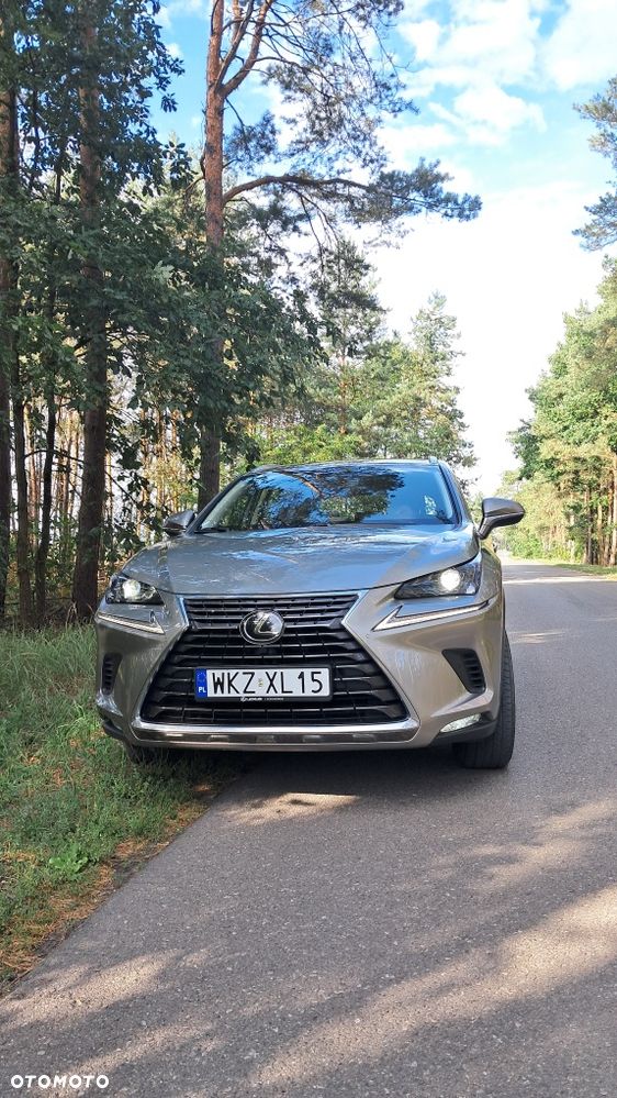 Lexus NX - 4