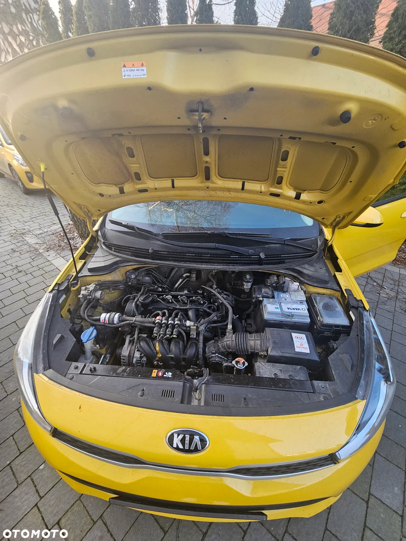Kia Rio 1.2 M - 13