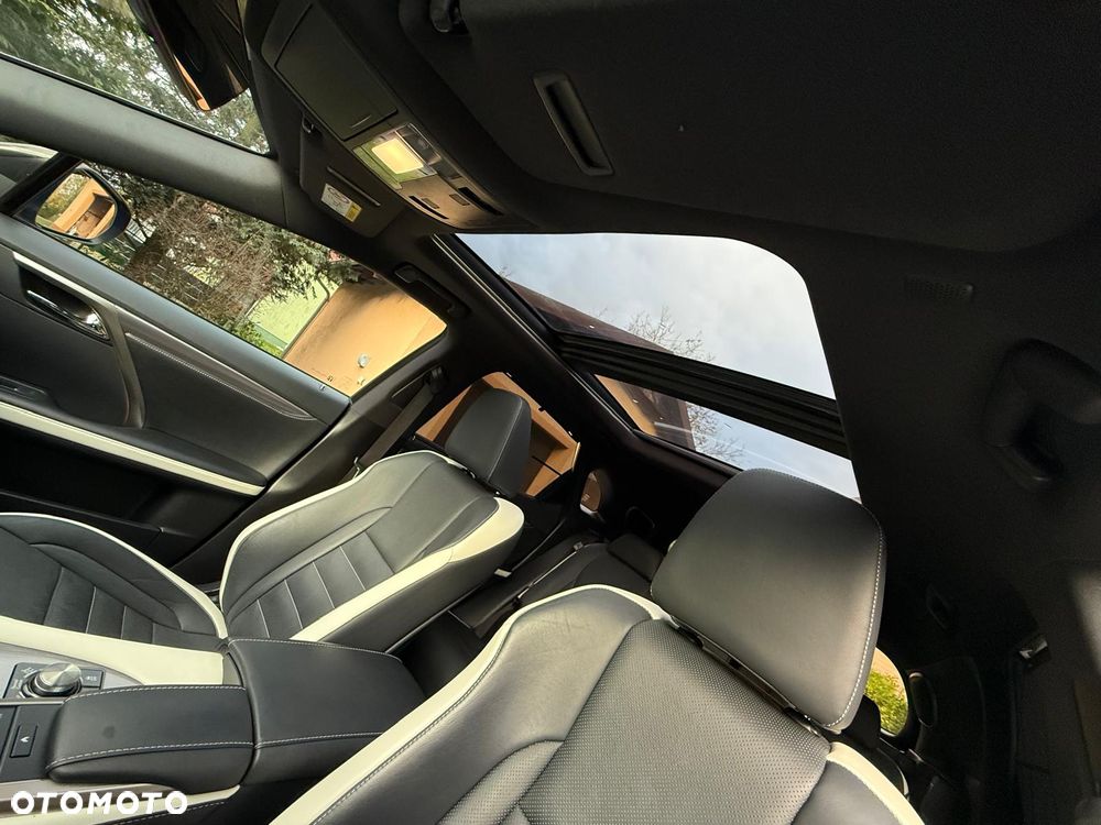 Lexus RX 300 F Sport - 14