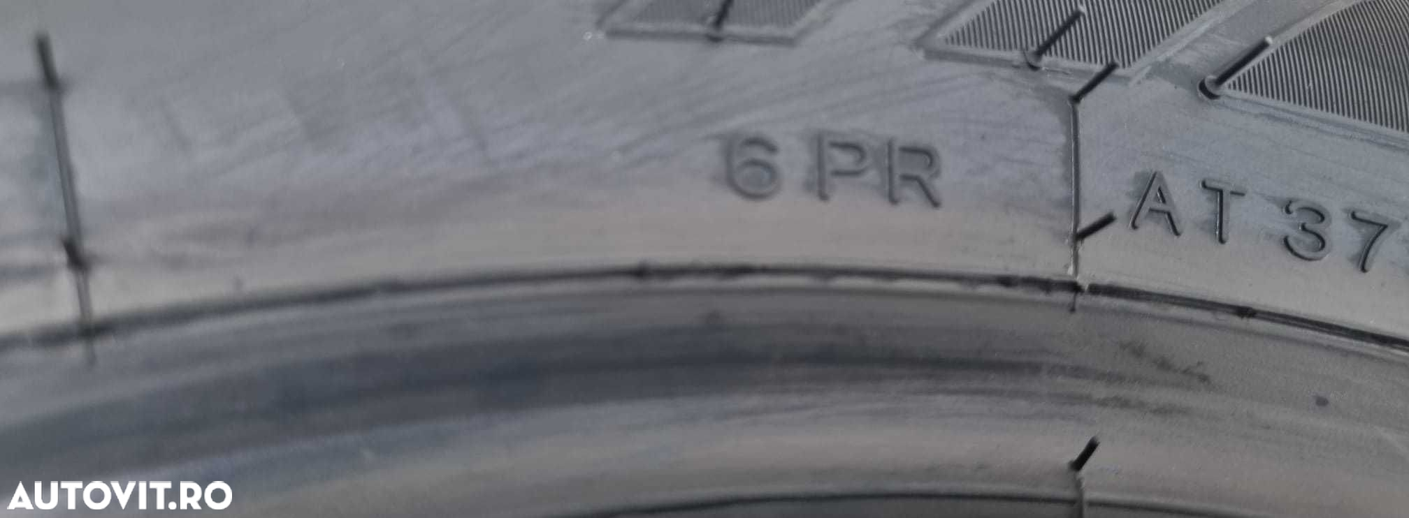 215/60 R16C, 103/101R, RIKEN Cargo (By Michelin), Anvelope de vara - 5