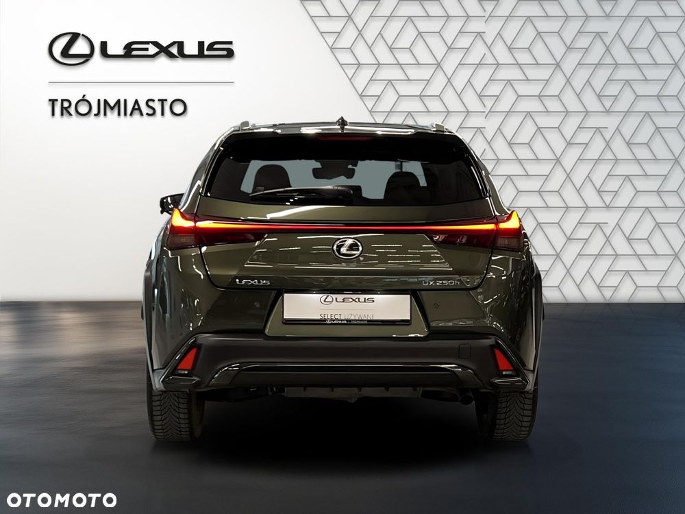 Lexus UX 250h GPF F Sport Design 2WD - 4
