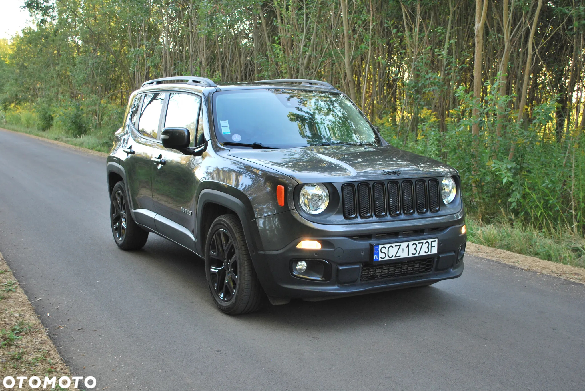 Jeep Renegade 1.4 MultiAir Limited FWD S&S - 6