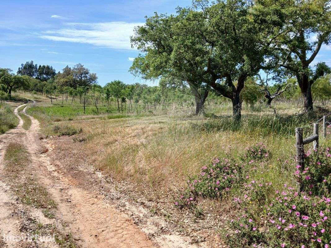 Moradia T2 para venda - Grande imagem: 5/14