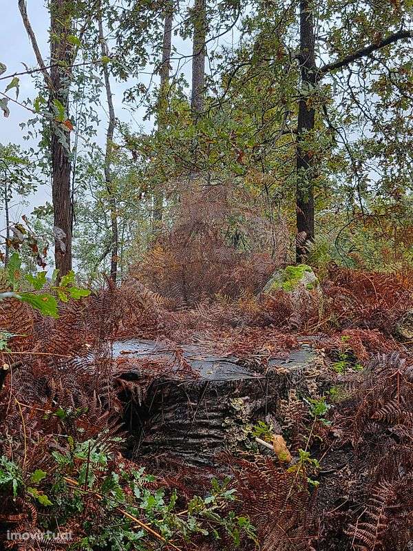 Terreno  para venda - Grande imagem: 3/4