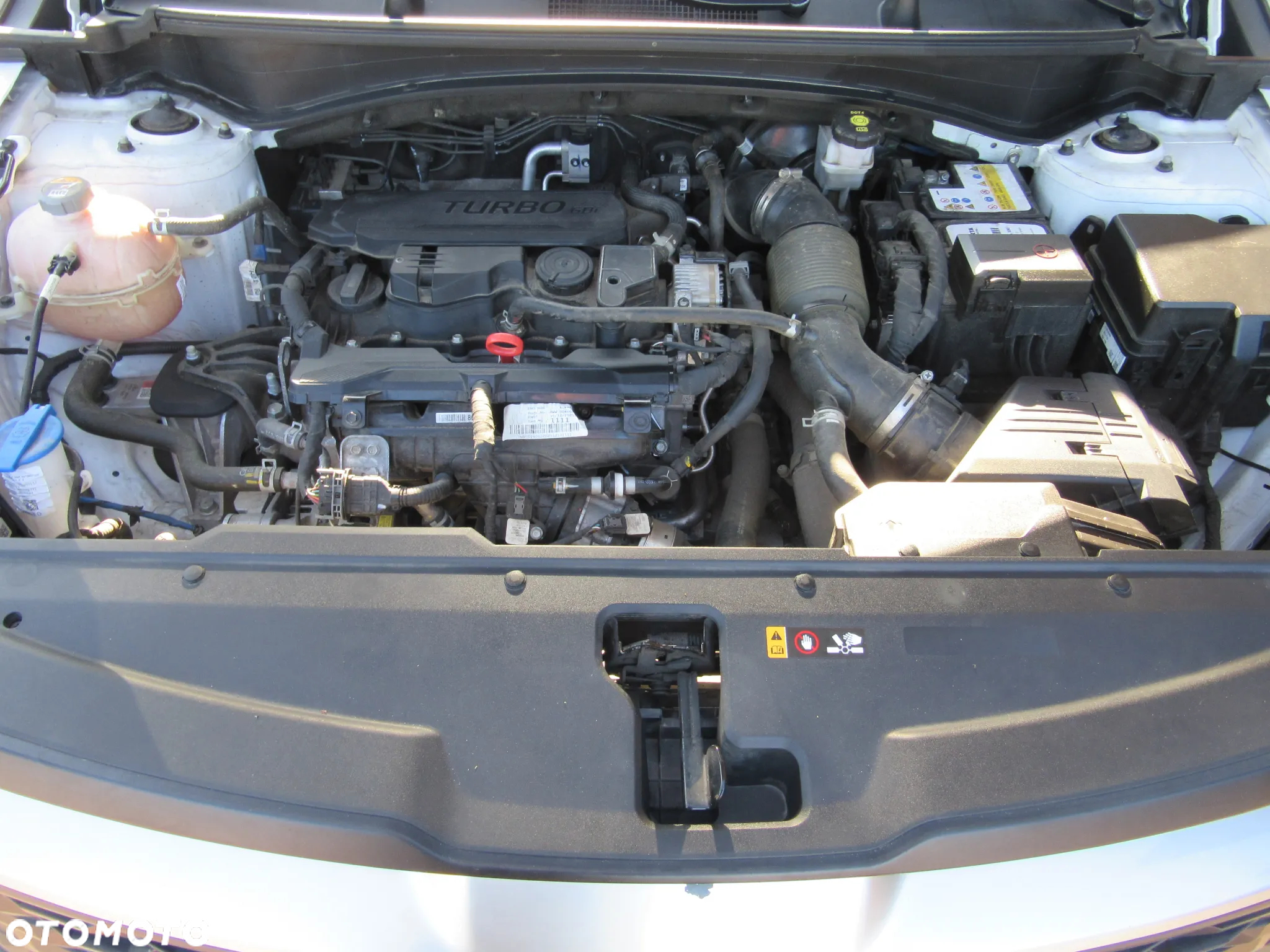 Kia Sportage - 8