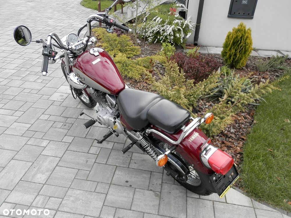 Yamaha Virago - 6