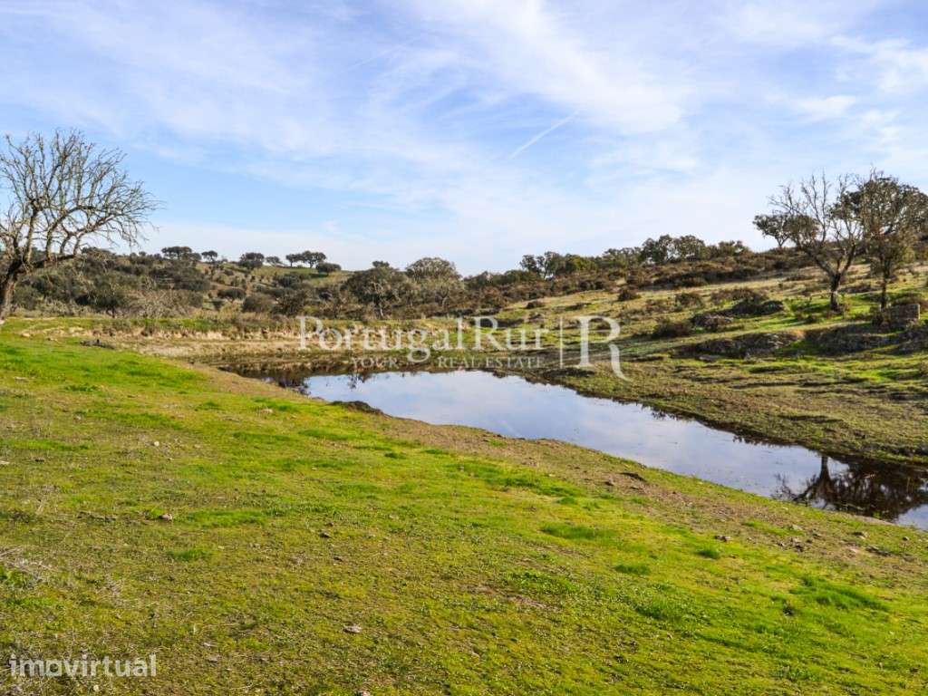 Herdade de 60 ha e monte, em Reguengos de Monsaraz - Grande imagem: 4/29