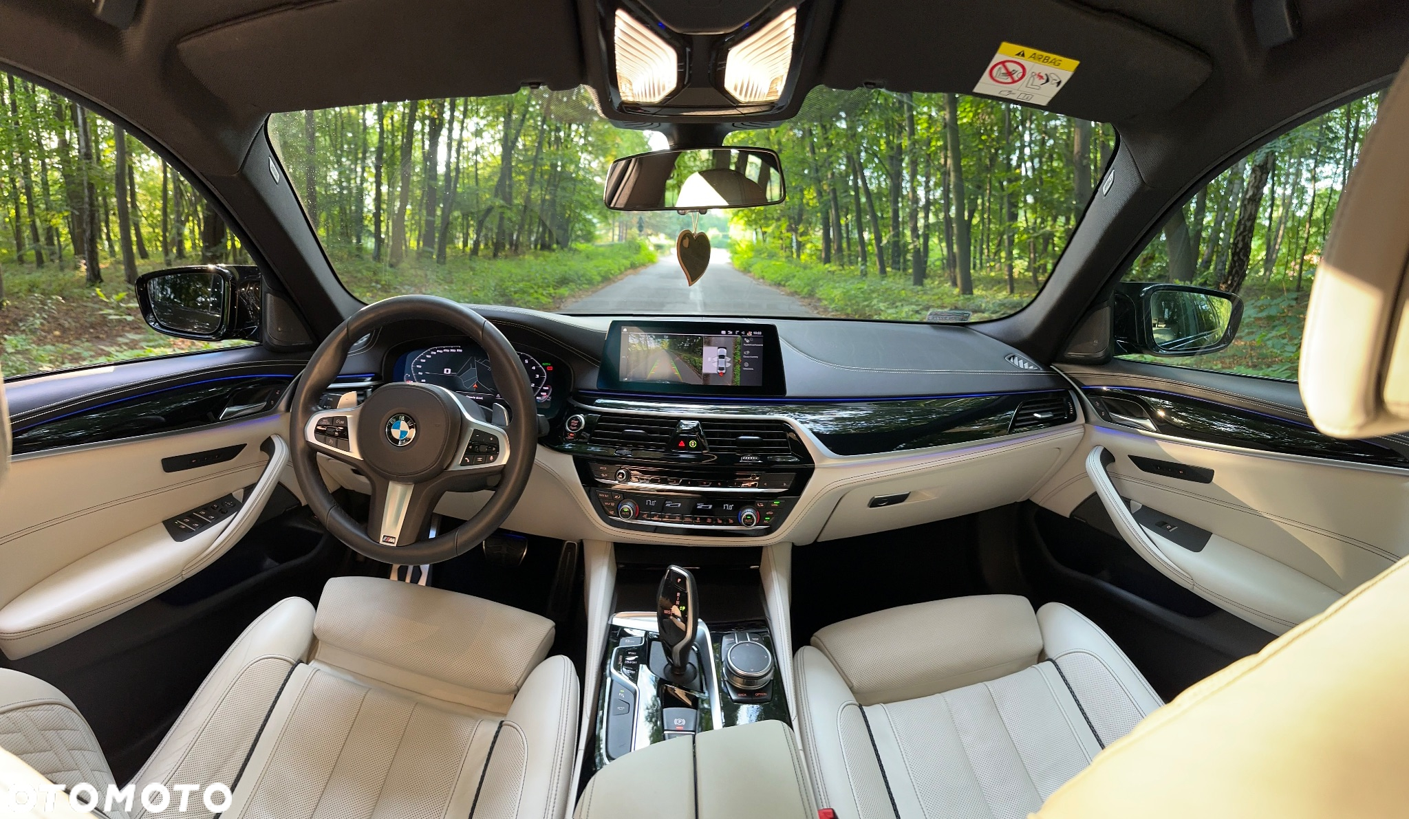 BMW Seria 5 530i xDrive M Sport sport - 19