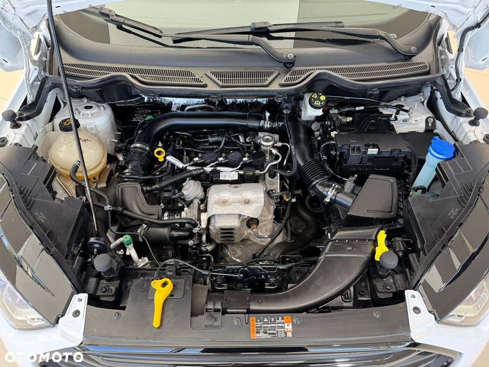 Ford EcoSport 1.0 EcoBoost GPF Active ASS - 19