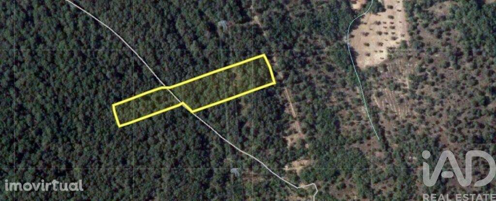 Terreno em Areias e Pias de 5240,00 m2 - Grande imagem: 5/6