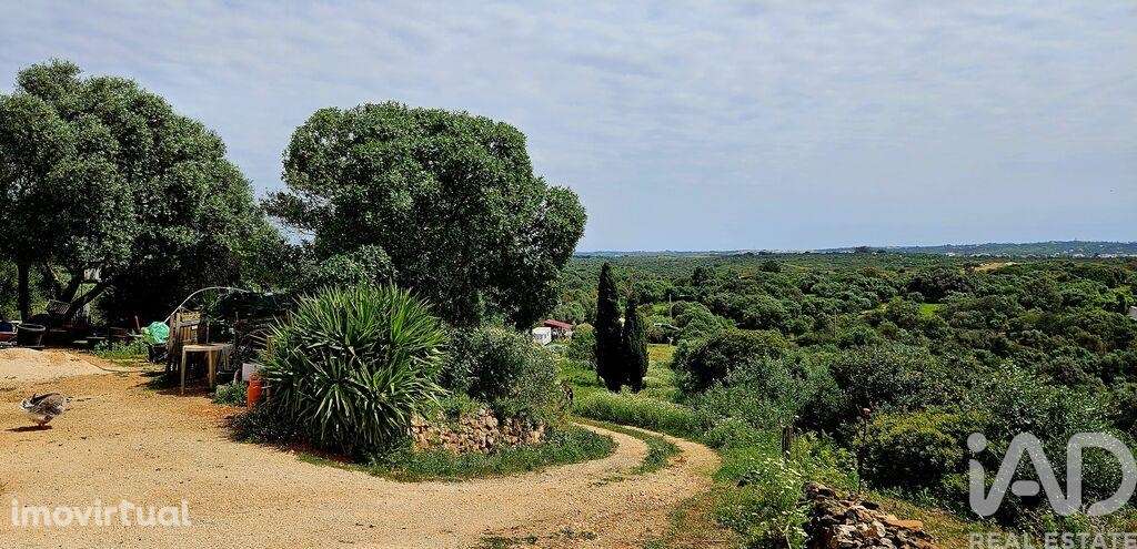 Terreno em Barão de São Miguel - Grande imagem: 5/35