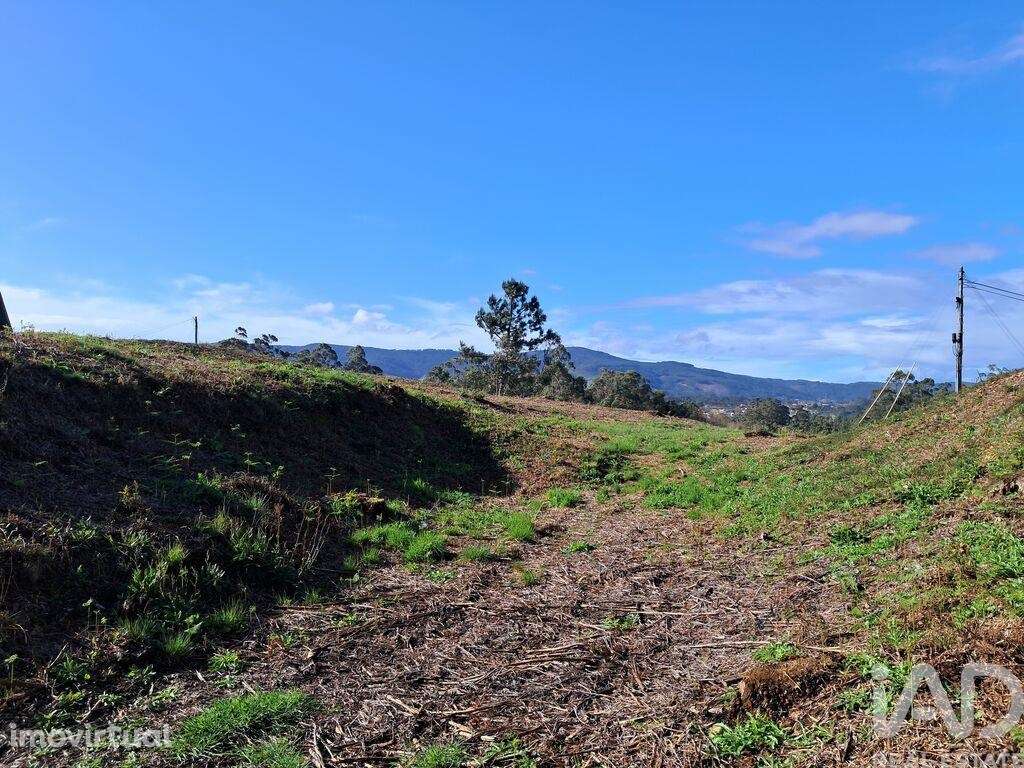 Terreno em Reboreda e Nogueira de 4514,00 m2 - Grande imagem: 3/7