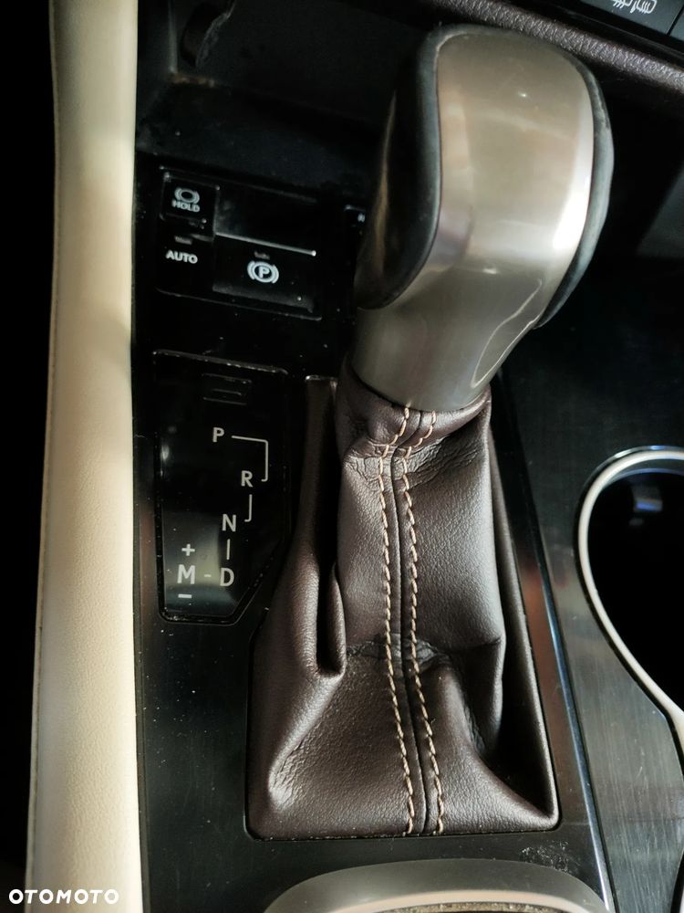 Lexus RX 200t / 300 Elegance - 10