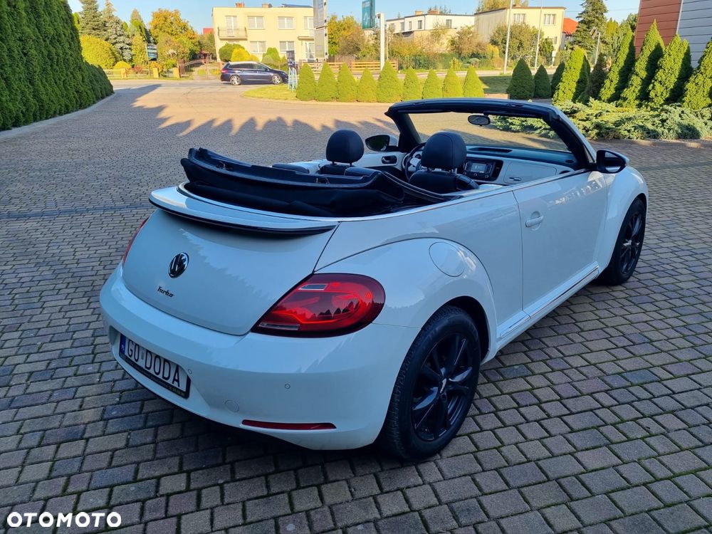Volkswagen Beetle - 9