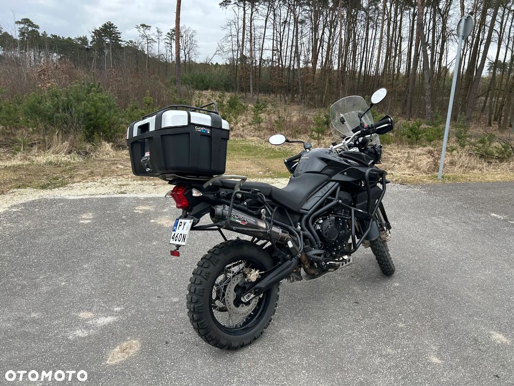 Triumph Tiger - 3