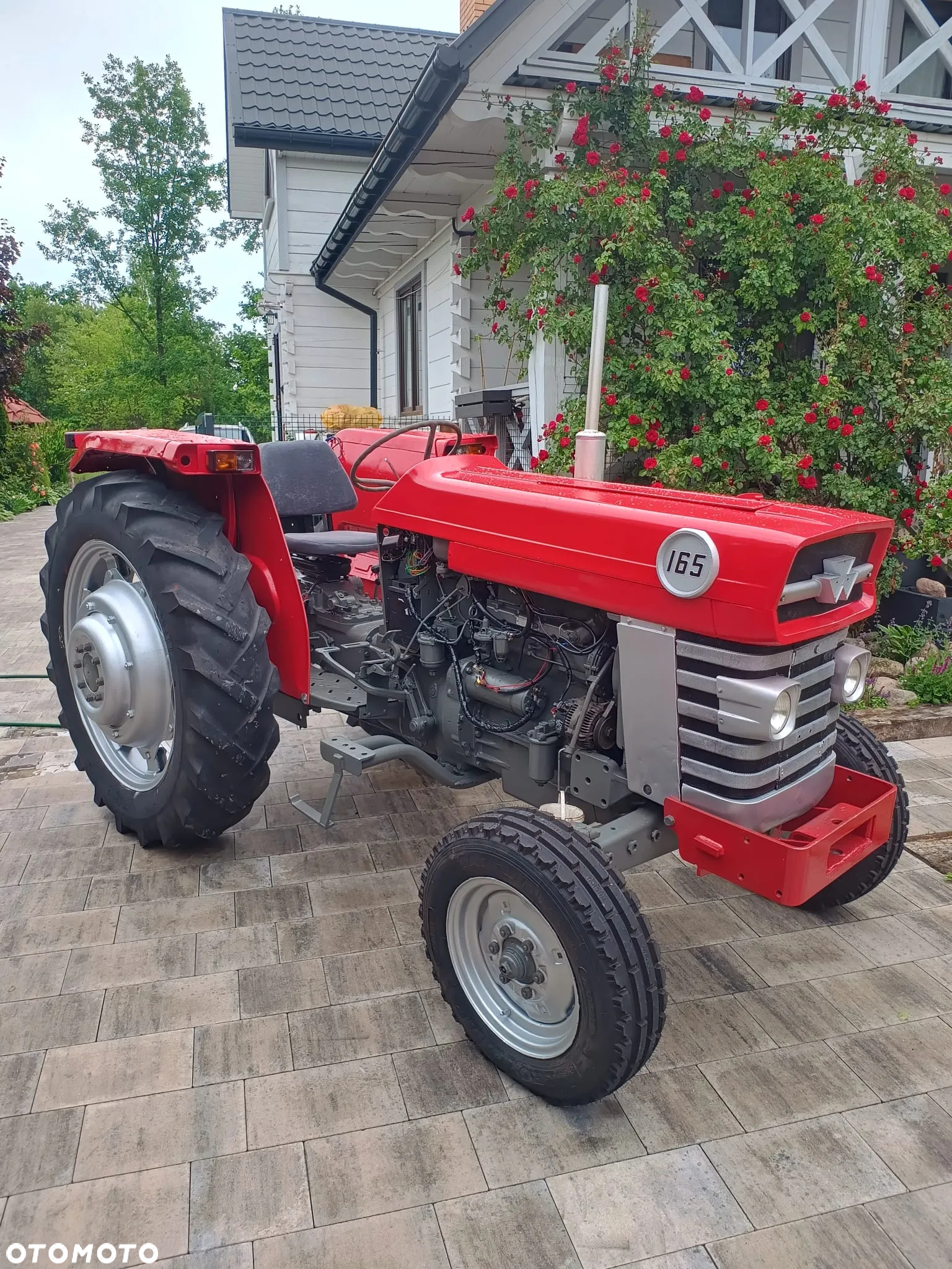 Massey Ferguson - 3