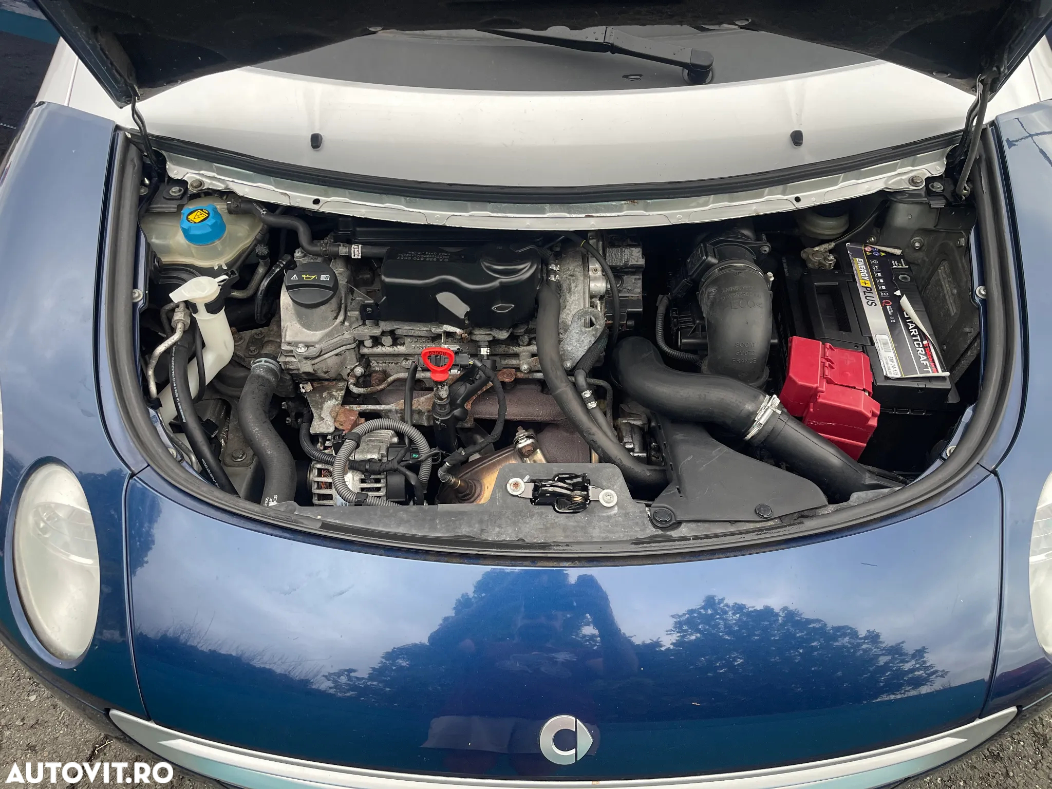 Smart Forfour cdi softtouch passion - 33