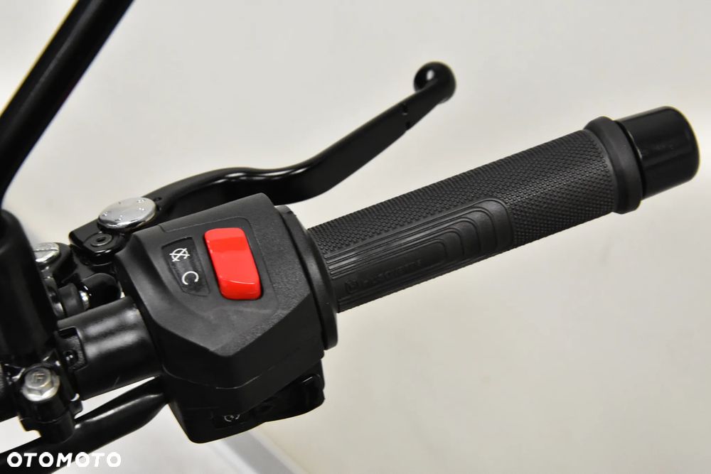 Husqvarna Svartpilen - 24