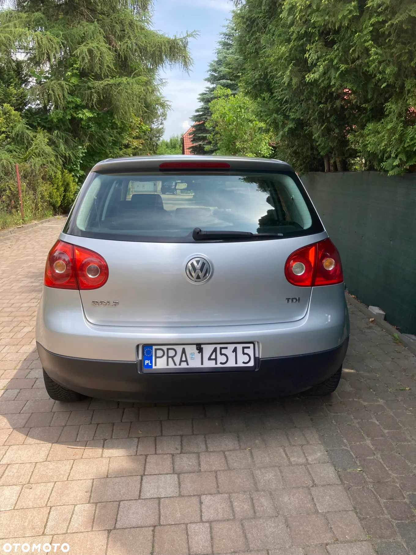 Volkswagen Golf 1.9 TDI DSG Trendline - 7