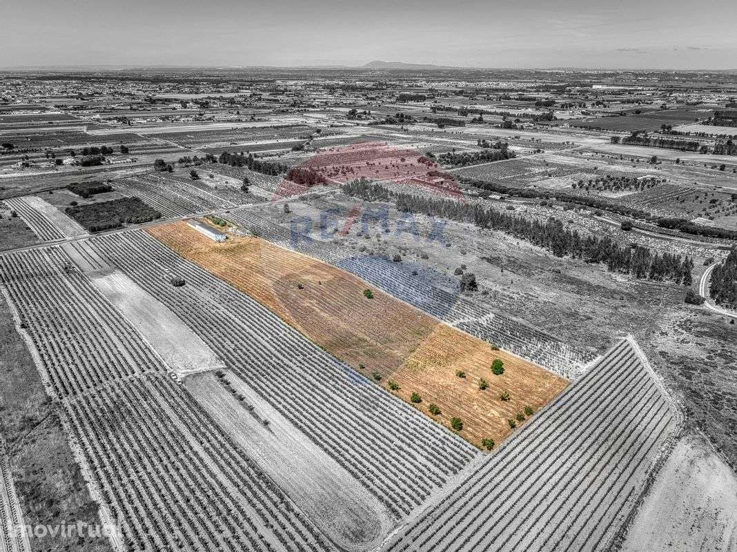 Armazém  para venda - Grande imagem: 3/31