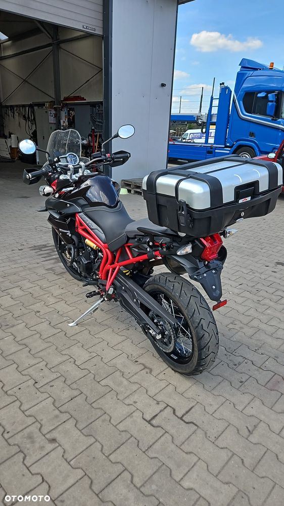 Triumph Tiger - 10