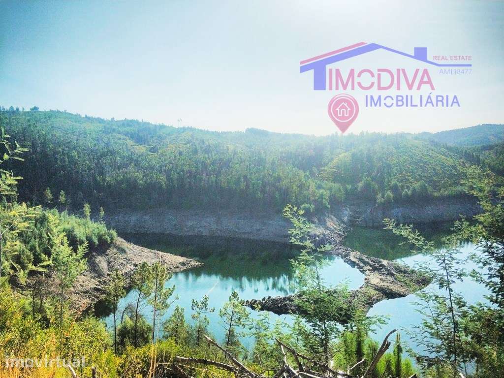Terreno Florestal com 29000m2 - Alvares - Grande imagem: 4/6