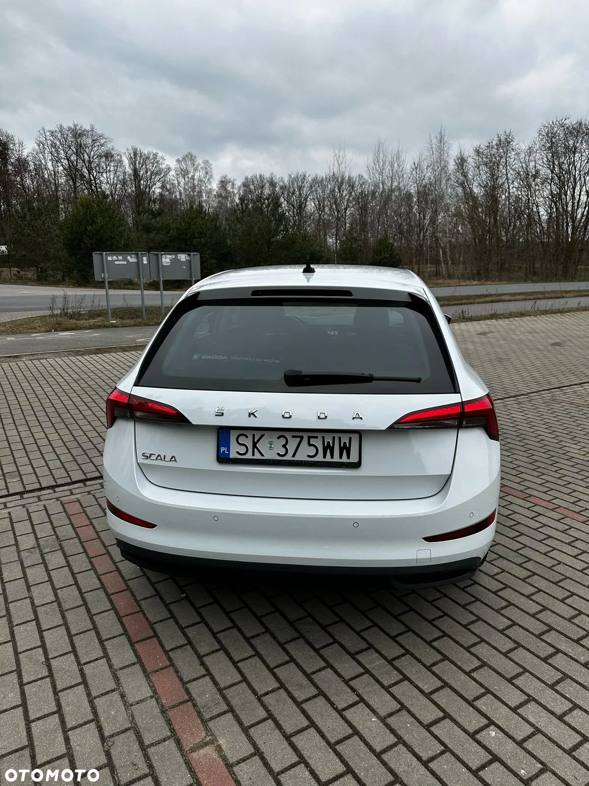Skoda Scala 1.0 TSI Ambition DSG - 6