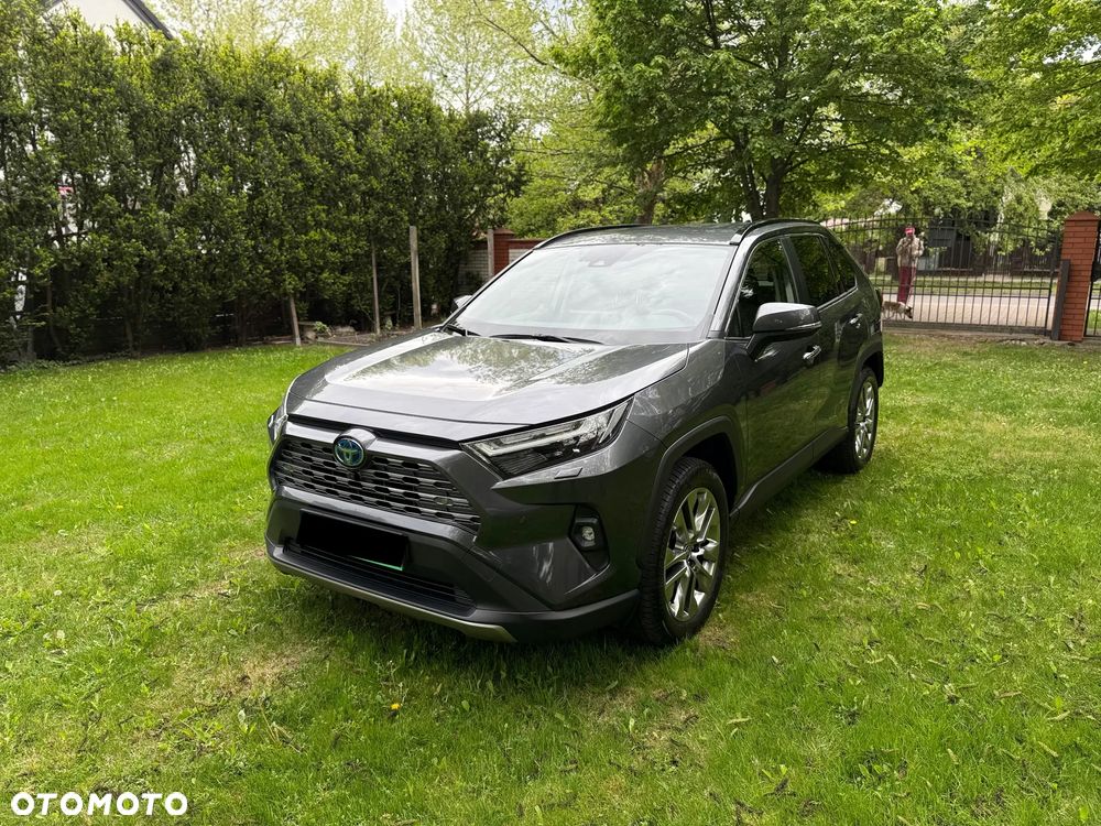 Toyota RAV4 2.5 Hybrid Executive 4x4 - 20