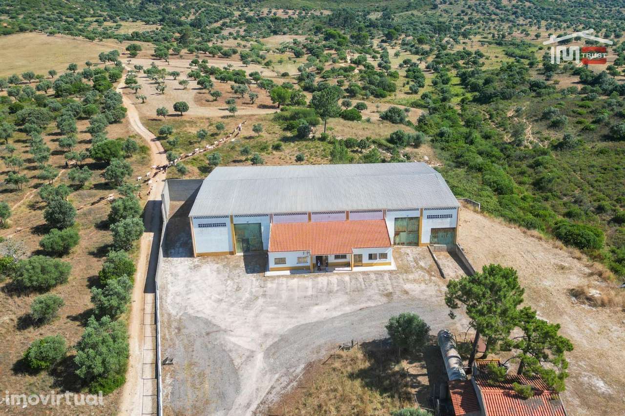 ARMAZEM E ACTIVIDADE INDUSTRIAL COM AREA DE IMPLANTAÇÃO DE 1200 M2 ... - Grande imagem: 4/29