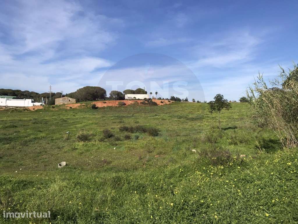 Terreno Rústico com Projeto Aprovado para Moradia Unifamiliar - Por... - Grande imagem: 2/14