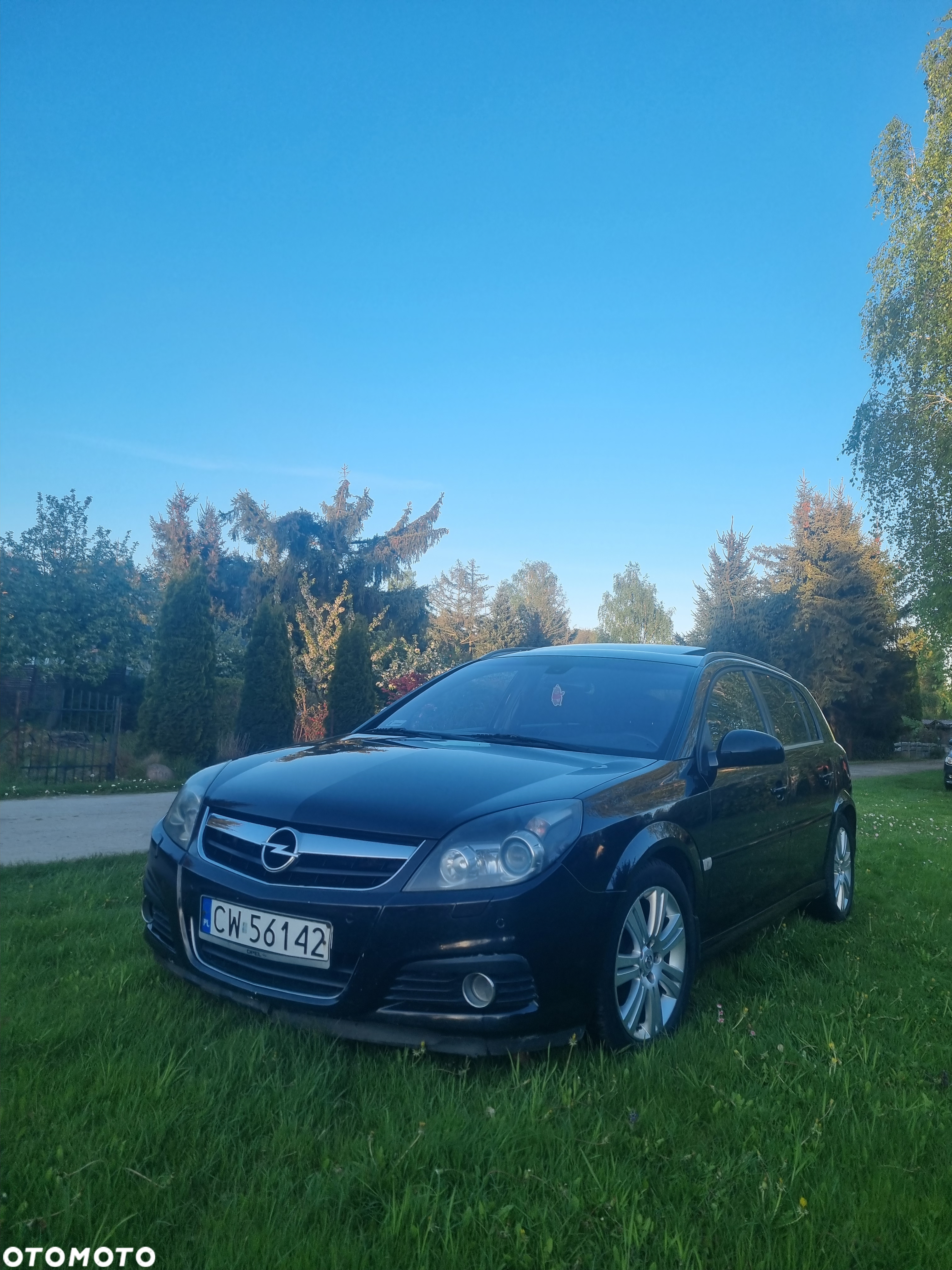 Opel Signum - 6