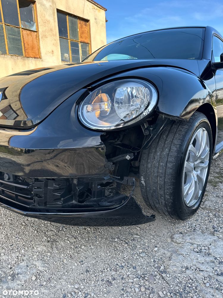 Volkswagen Beetle - 12