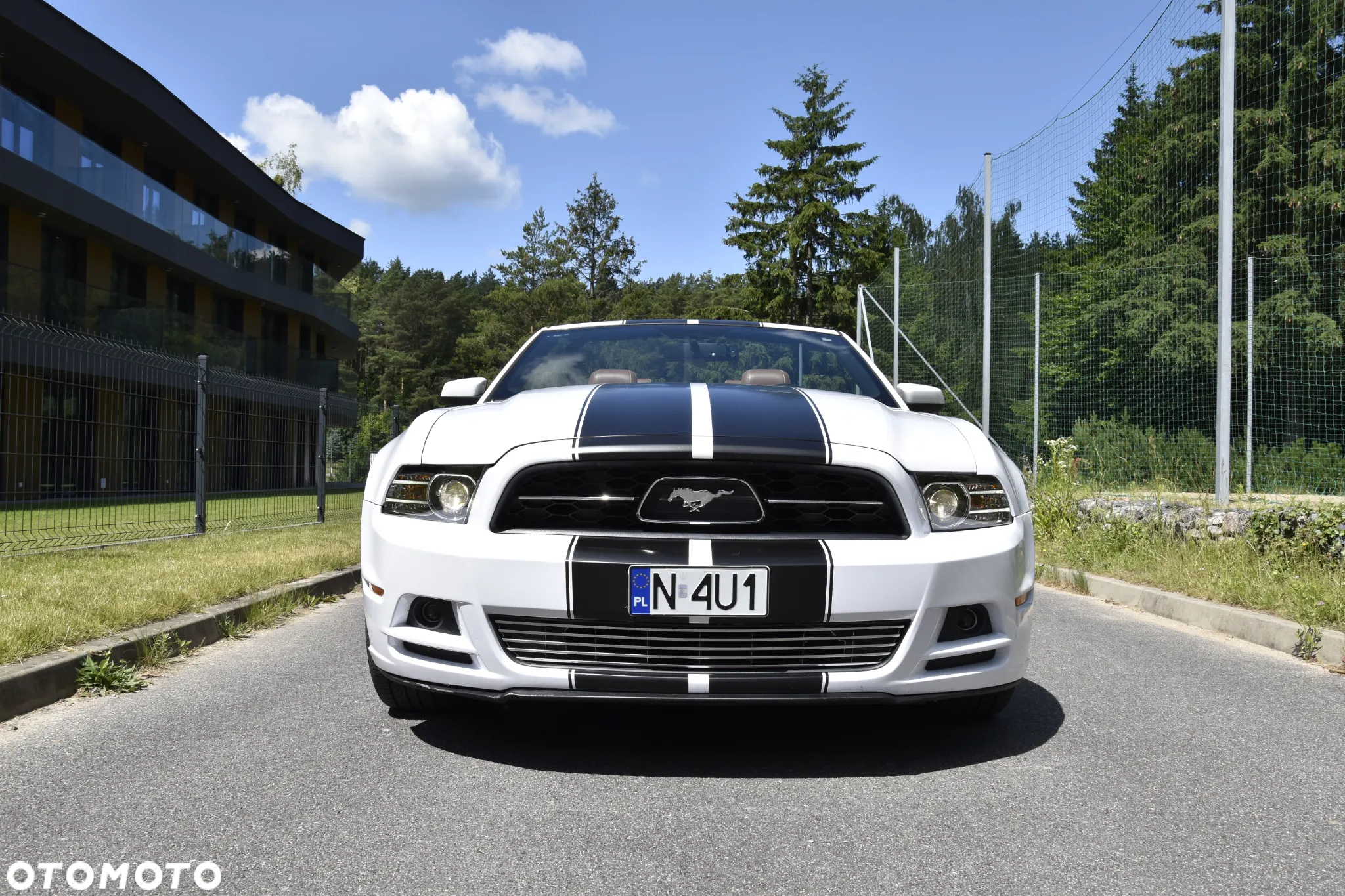 Ford Mustang 3.7 V6 Premium - 13
