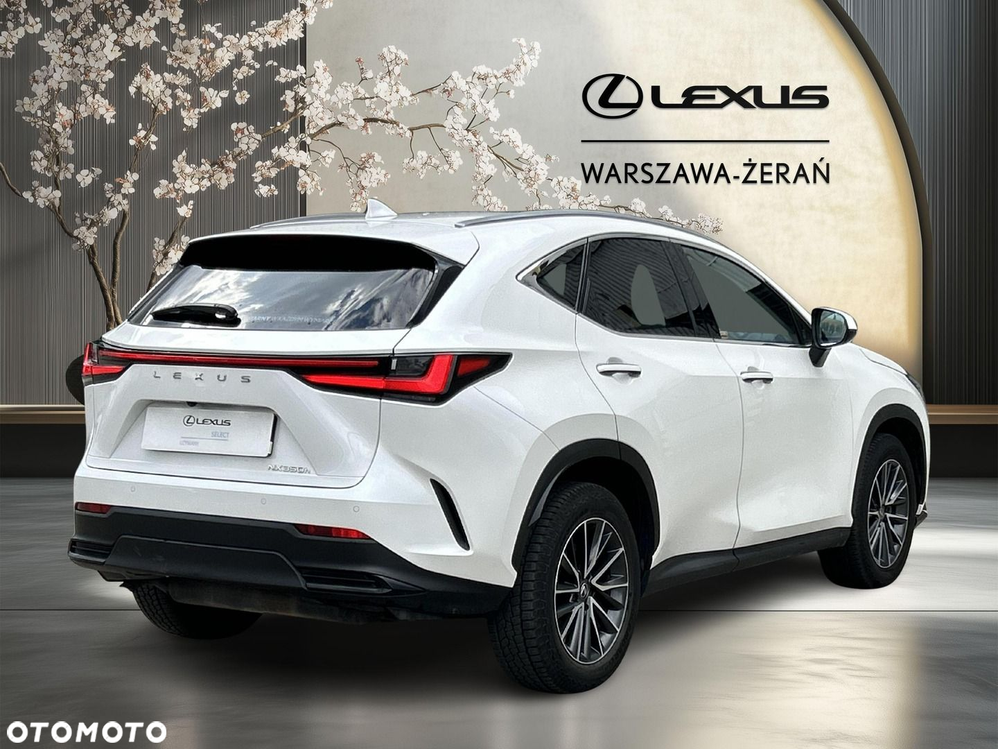 Lexus NX - 7
