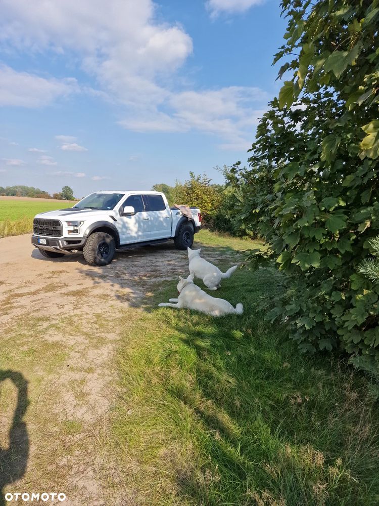 Ford F150 - 2