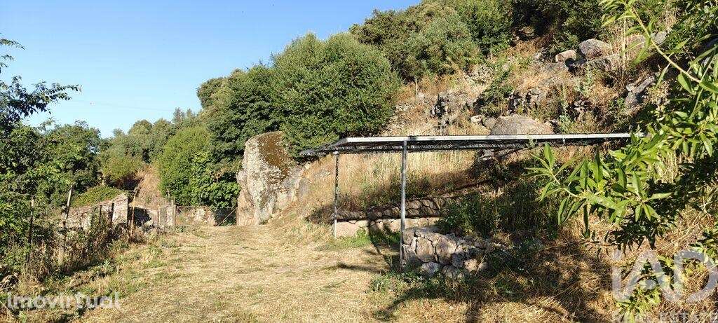 Quinta em Idanha-a-Nova e Alcafozes de 49 m2 - Grande imagem: 3/18