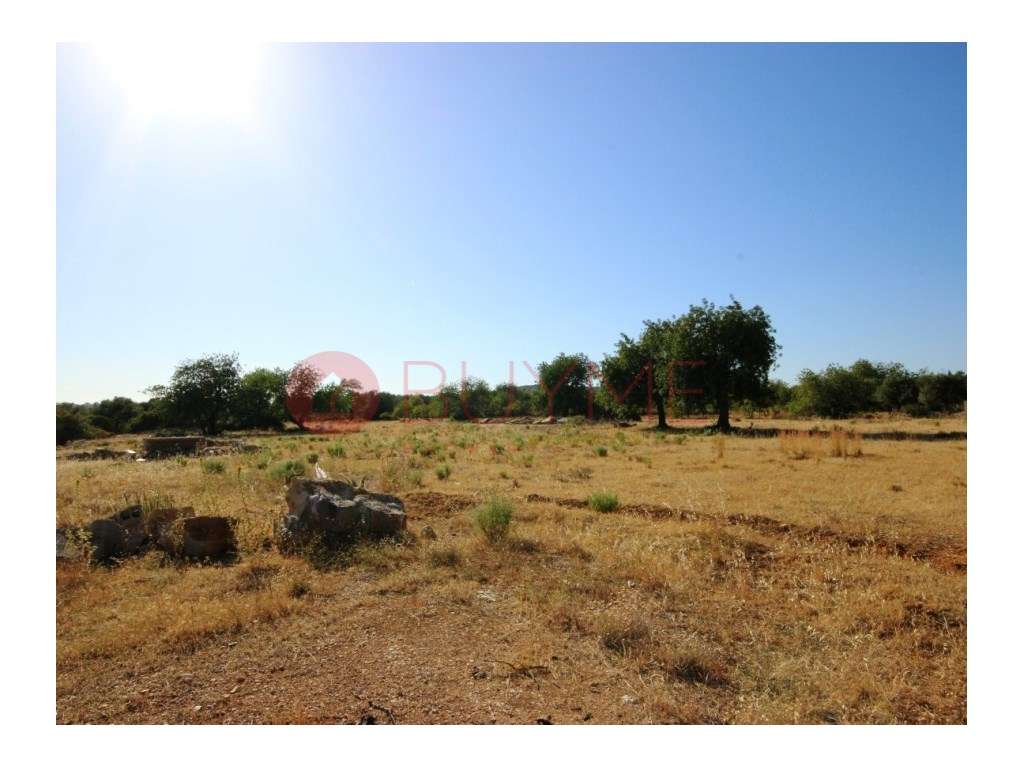 Terreno Rústico Plano em Boliqueime com Potencial de Desenvolvimento - Grande imagem: 3/4