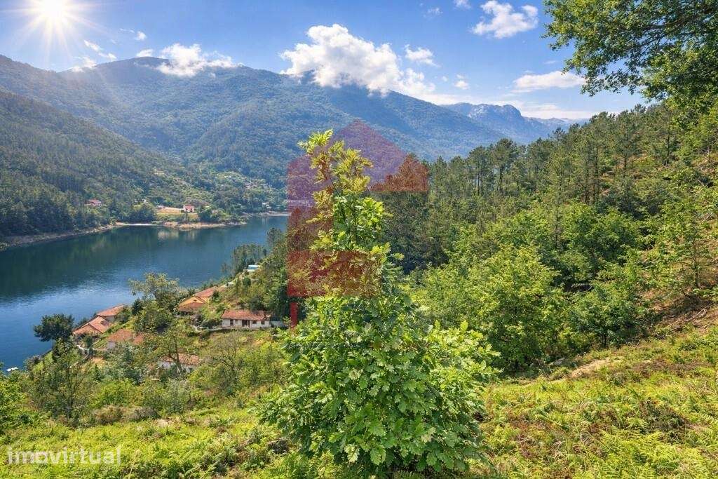 Terreno, Gerês - Grande imagem: 5/19